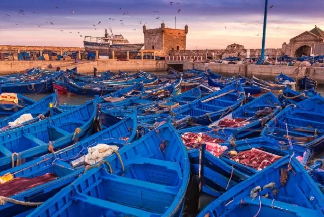 8 días desde Marrakech al desierto y Essaouira